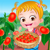 Baby Hazel Tomato Farming Game