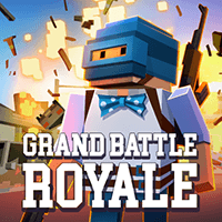 Battle Royale Online Game 