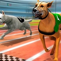 Real Dog Racing Simulator 3D Game 